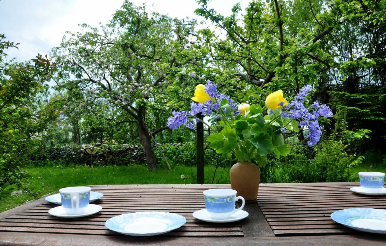 Sommerferienhaus أوستسيباد نينهاجن المظهر الخارجي الصورة